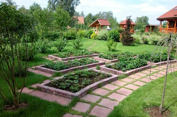 декоративный огород в пейзажном стиле